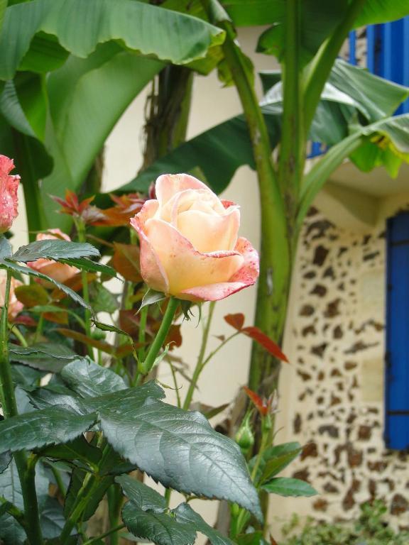 Chambre D'Hotes L'Airial Liposthey Exterior foto